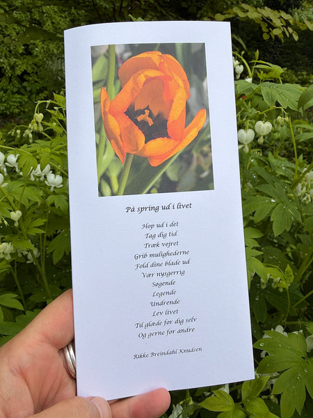 På spring ud i livet